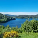 Erlebnis Wald