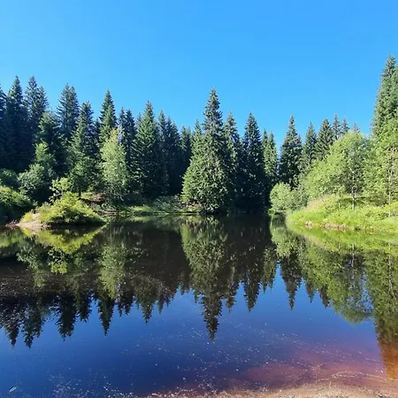 Erlebnis Wald 3*