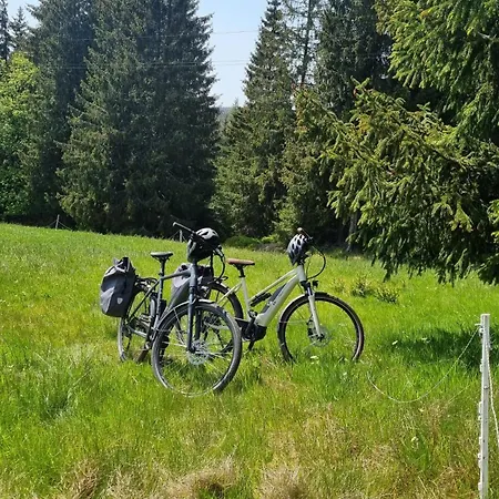 Erlebnis Wald 3* יוהנגאורגנשטאט