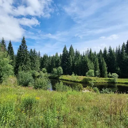 Erlebnis Wald מלון 3*