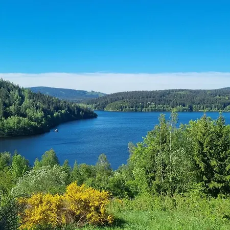 Erlebnis Wald