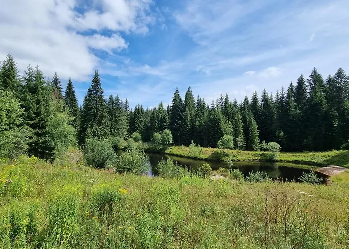 Erlebnis Wald מלון 3*